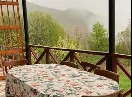 Gudauri Deka House, Balcony & Mountain Views