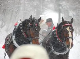 Koperkowe Rancho Beskid Wyspowy Domek Małopolskie KAMIONNA