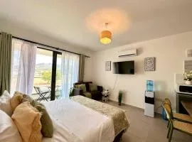 The Olive Beachfront Apartment & Spa