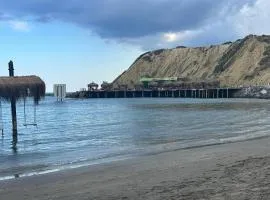 The Olive Beachfront Apartment & Spa