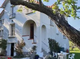 Les Chambres Chez David