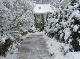 "FOREST RETREAT Luxury Villas"