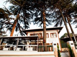 Nizam Butik Otel Büyükada, boutique hotel in Buyukada