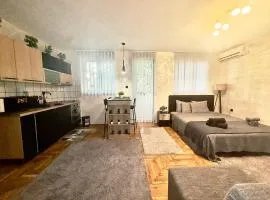 Amazing apartman in Bele Vode