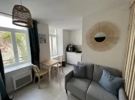 Le Cocon Naturel - Studio 2p Ville fortifiee