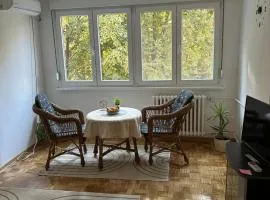 Apartman Tejsi