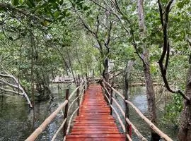 Kerusso Haven