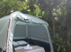 Camping à la ferme