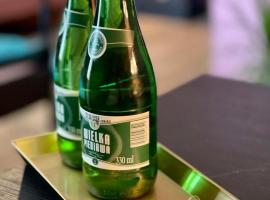 Restauracja Pałacowa Apartamenty, hotel v destinaci Radzyń Podlaski