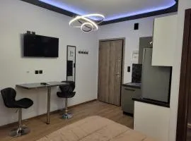 LUX&EAZY central modern studio
