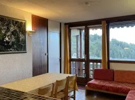 3 pièces à Plagne Centre, proche commerces et Mont Blanc, animaux admis - FR-1-351-222