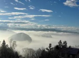 apartamentwroznowiepl