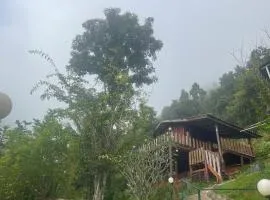 Forest Guesthouse