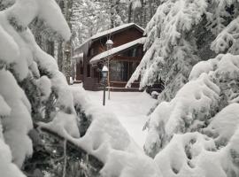 Karinna Orman Evleri, skijali&scaron;te u gradu Uludag