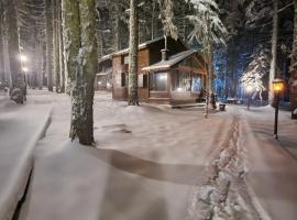 Karinna Orman Evleri, accommodation in Uludag