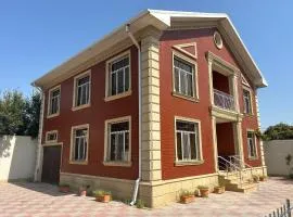 The cat's estate