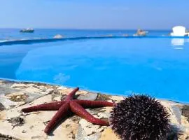 Apartments Anica Beber