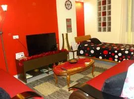 Central Apartments Shoshi