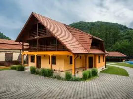 Cabana Sargetia