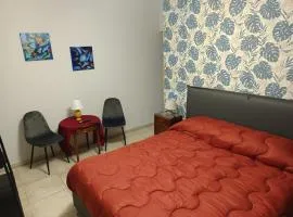 Interamna Dreams
