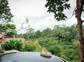 Pondok Dedari villa