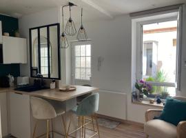 LE SAINT CYP - Toulouse - appart entier cosy et au calme, proche du métro