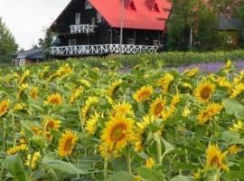 Woody Life, chal&eacute; alpino em Kami-furano