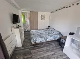 Studio Marmotte, quartier marais, terrasse en rez de jardin, matelas confort