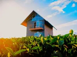Cloud Canopy - Tea Garden Family Pool Cottage in Vagamon