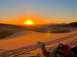 Merzouga Wildlife Desert Camp
