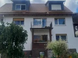 ZiniMiri