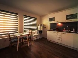 GottwaldHaus-Freiberg-Apartment C