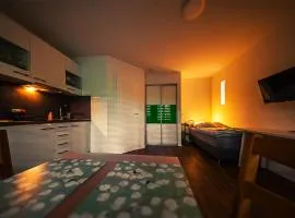GottwaldHaus-Freiberg-Apartment / A