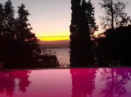 Dpto Vista Alago