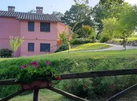 L'Albero degli Struzzi