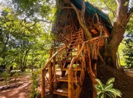 Ali Adi Eco Resort