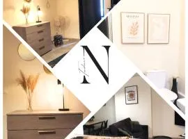 Appartement en plein coeur de mâcon E