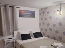 Vila Ris Piata Romana