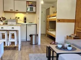 Studio central proche des pistes