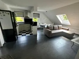 Apartment and rooms Špes