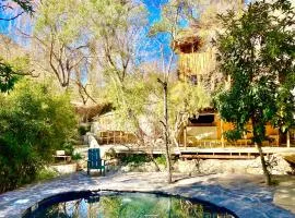 La Casa entre los Árboles en el Valle de Elqui Montegrande