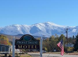Profile Deluxe Motel, motel in Twin Mountain