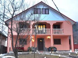 Pensiunea Lui Nea Nicu Lepsa, hotel em Lepşa