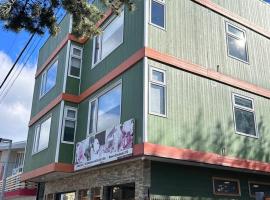 Patagonia Tower, penginapan layan diri di Puerto Natales