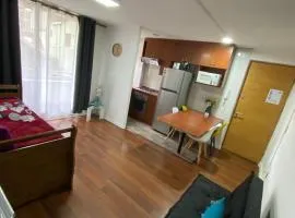 depto 2 dormitorio terraza