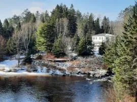 Spacieuse propriété pour grande famille avec activités et spa 10 p