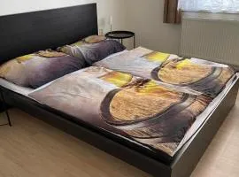 Penzion Eška s Pivovarem MJ