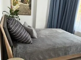 Apartament WITELONA