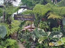 Cherry HomeStay & coffee