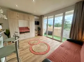 Appartement avec terrasse proche Cassis
